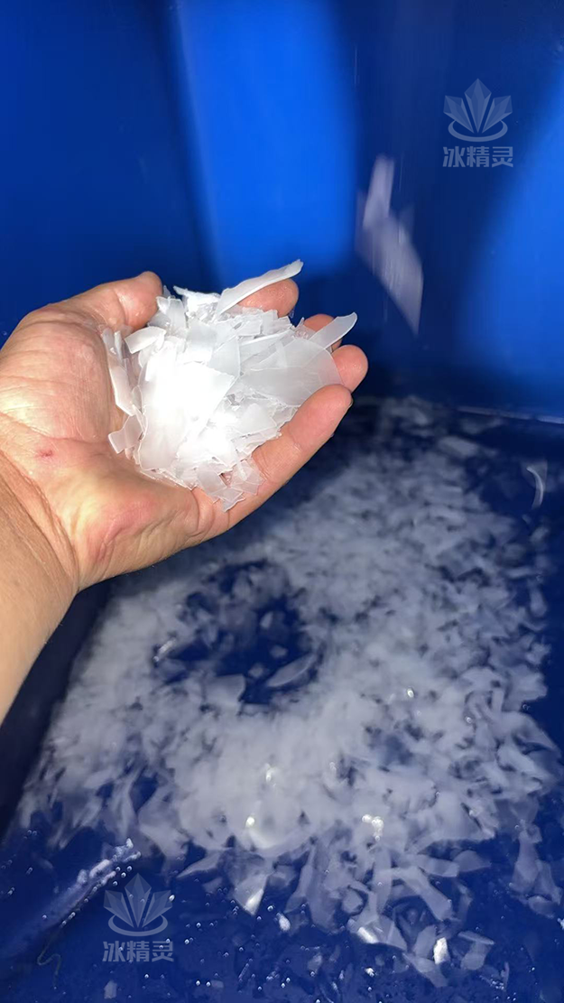鳞片冰