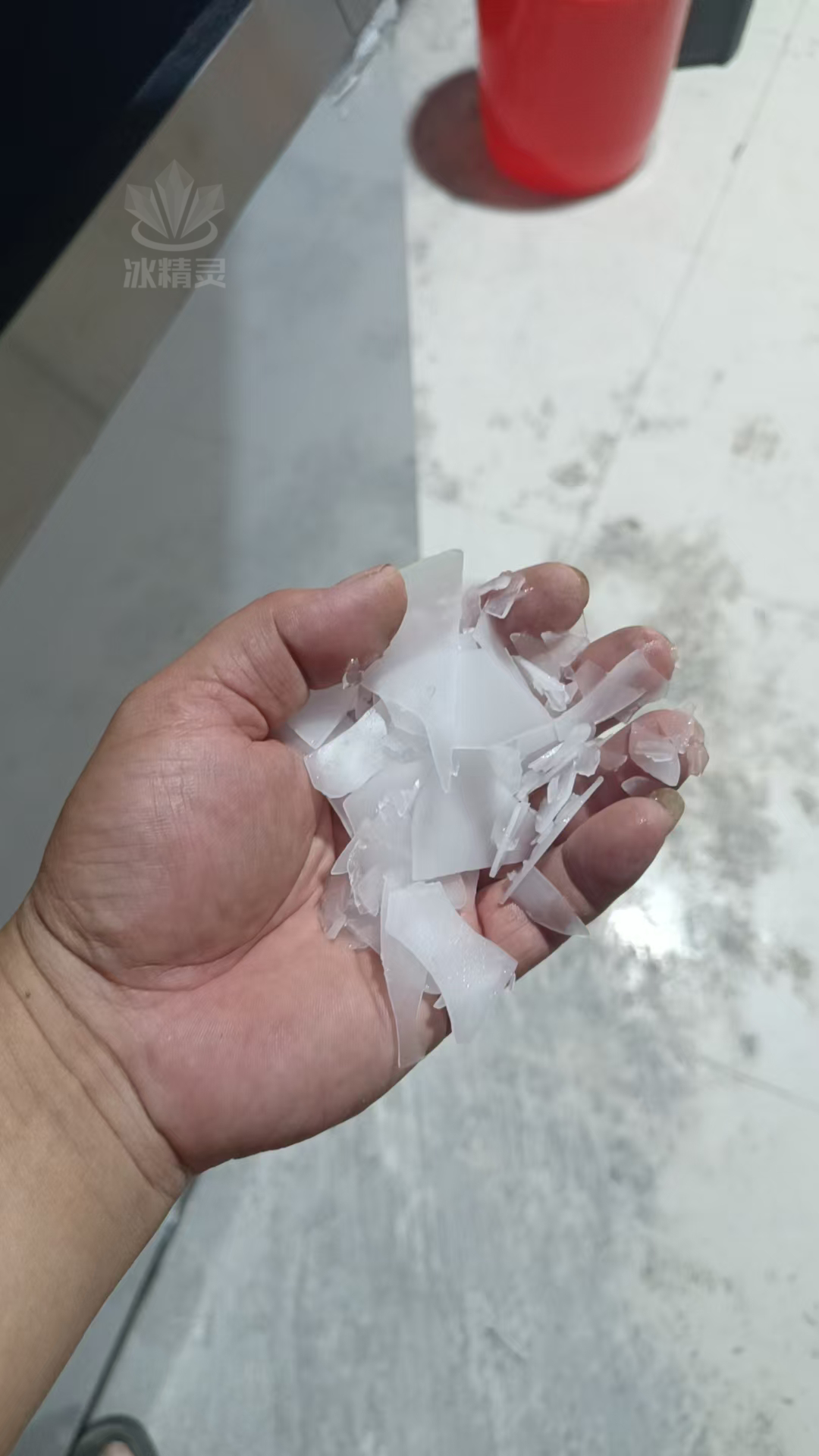 鳞片冰