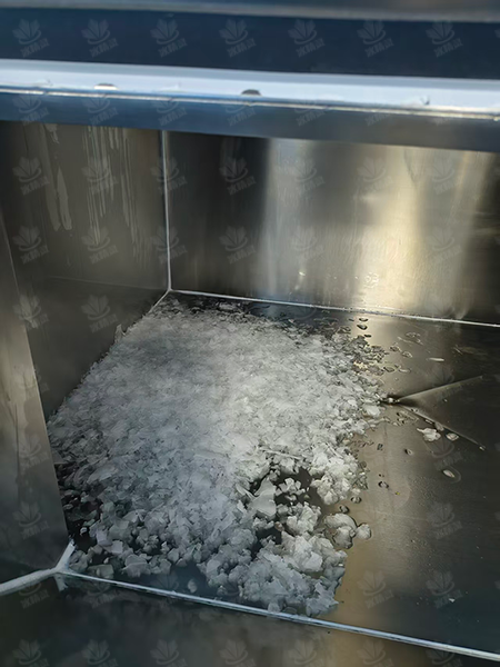鳞片冰
