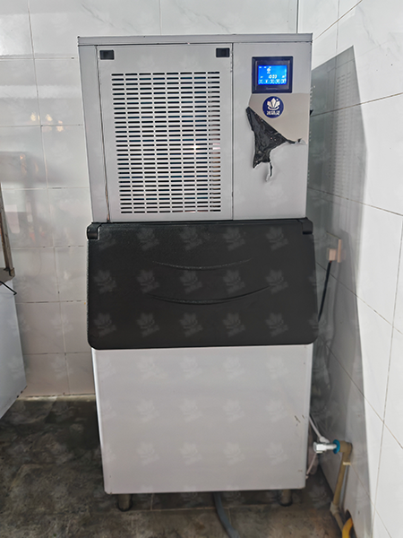 400公斤雪花机